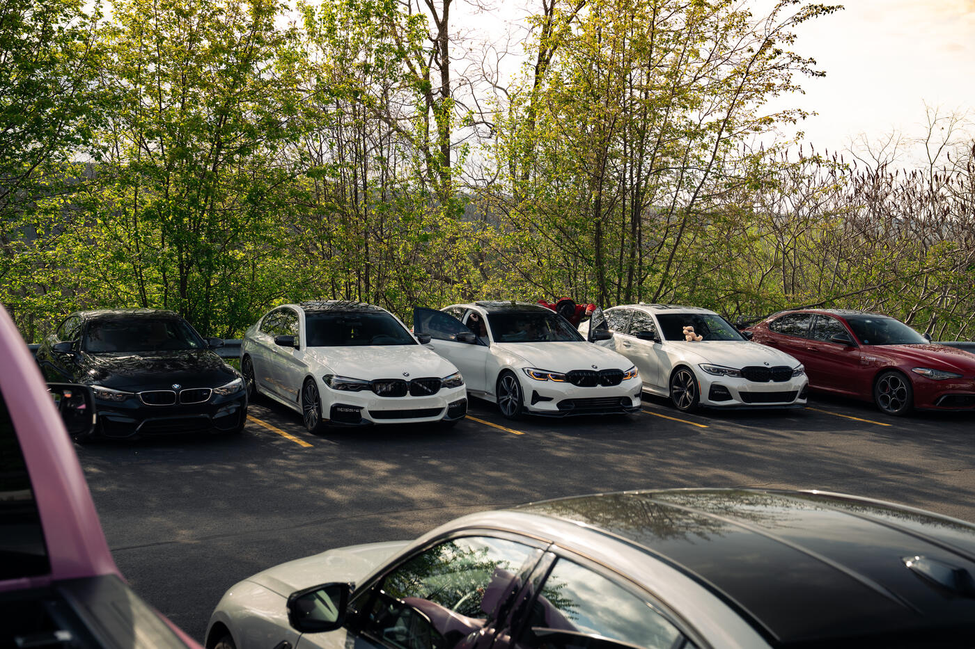 A row of BMWs at the meet