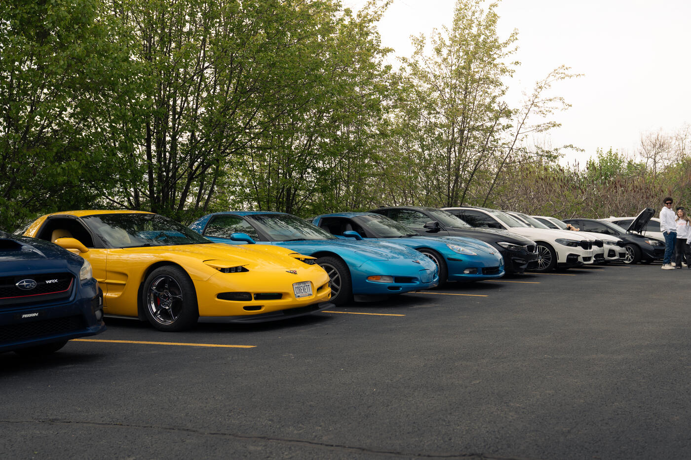 A long row of cars parked at the end of year meet